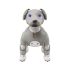 Puppy leash blue
