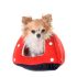 Dog Toy Shaped