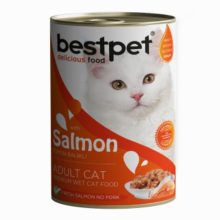 bestpet with salmon 400g