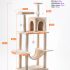 Cat House scratching 10055