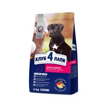 CLUB 4 PAWS PREMIUM for adult dogs 20kg