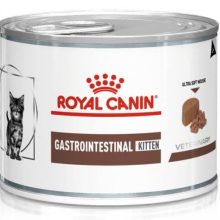 Gastrointestinal kitten