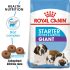 Royal Canin Giant Starter Mother & Babydog (4 KG) - Dry food for giant puppies. Adult weight from 45 KG and over - Mother during gestation and lactation - Weaning puppies up to...