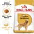 Royal Canin Golden Retriever Adult (16 KG) Dry food for adult dogs over 15 months