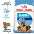 Royal Canin Maxi Starter Mother and Babydog (15 KG) - Dry food for large puppies - Adult weight between 26 and 44 KG. Mother during gestation and lactation - Weaning puppies up...