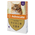 Advocate Spot On (For Cats over 4kg) - 1 Pipette