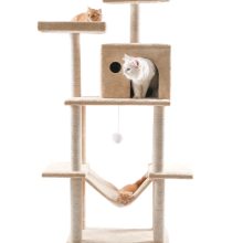Cat House scratching 10029