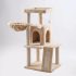 Cat House scratching 10070