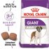 Royal Canin Giant Adult (15KG) - Dry food for giant active dogs. Adult weight from 45 kg and over - over 1824 months