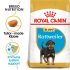 Royal Canin Rottweiler Puppy (12 KG) - for Rottweiler puppies up to 18 months