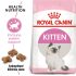 Royal Canin Second age kitten (10 KG) - Kitten up to 12 months