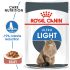 Royal Canin Ultra Light in Jelly (85gmPouch) - Wet food for adult cats - Helps limit weight gain